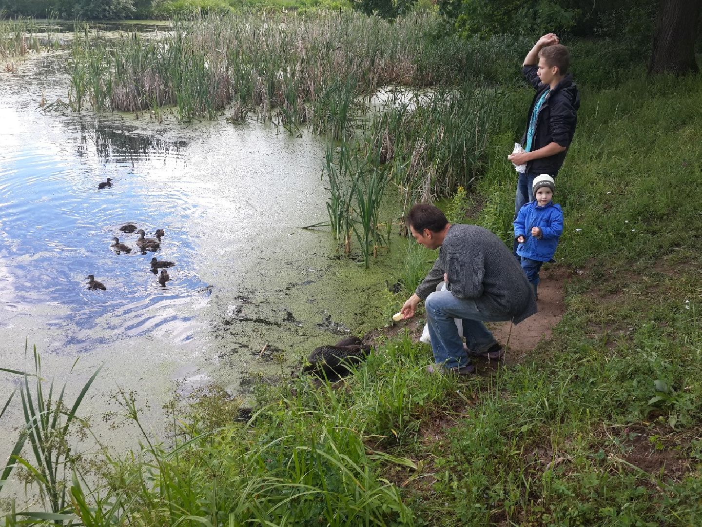 выездная администрация, мытищи,