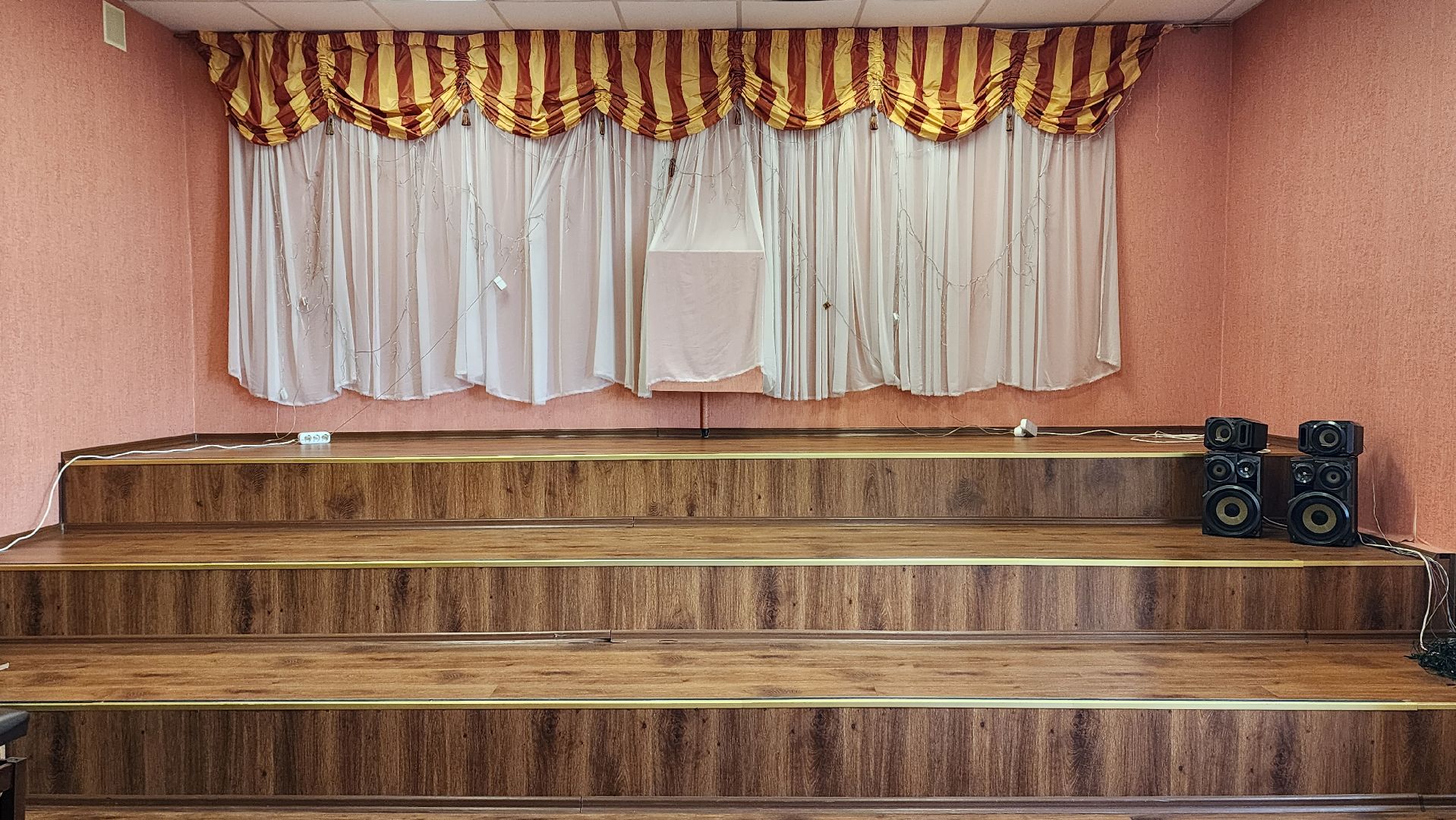 премия Губернатора, Лучший по професссии, музыкальная школа, рабочий поселок Обухово, Богородский городской округ,