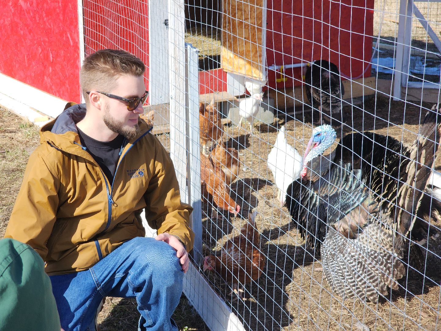 семейная ферма, орехово-зуевский округ, фермеры подмосковья, семен янин,