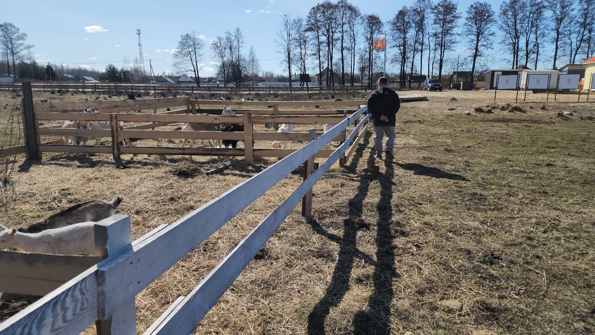 семейная ферма, орехово-зуевский округ, фермеры подмосковья, семен янин,