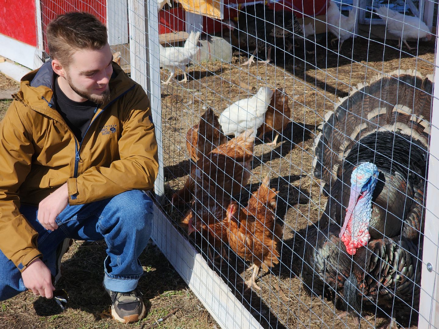 семейная ферма, орехово-зуевский округ, фермеры подмосковья, семен янин,