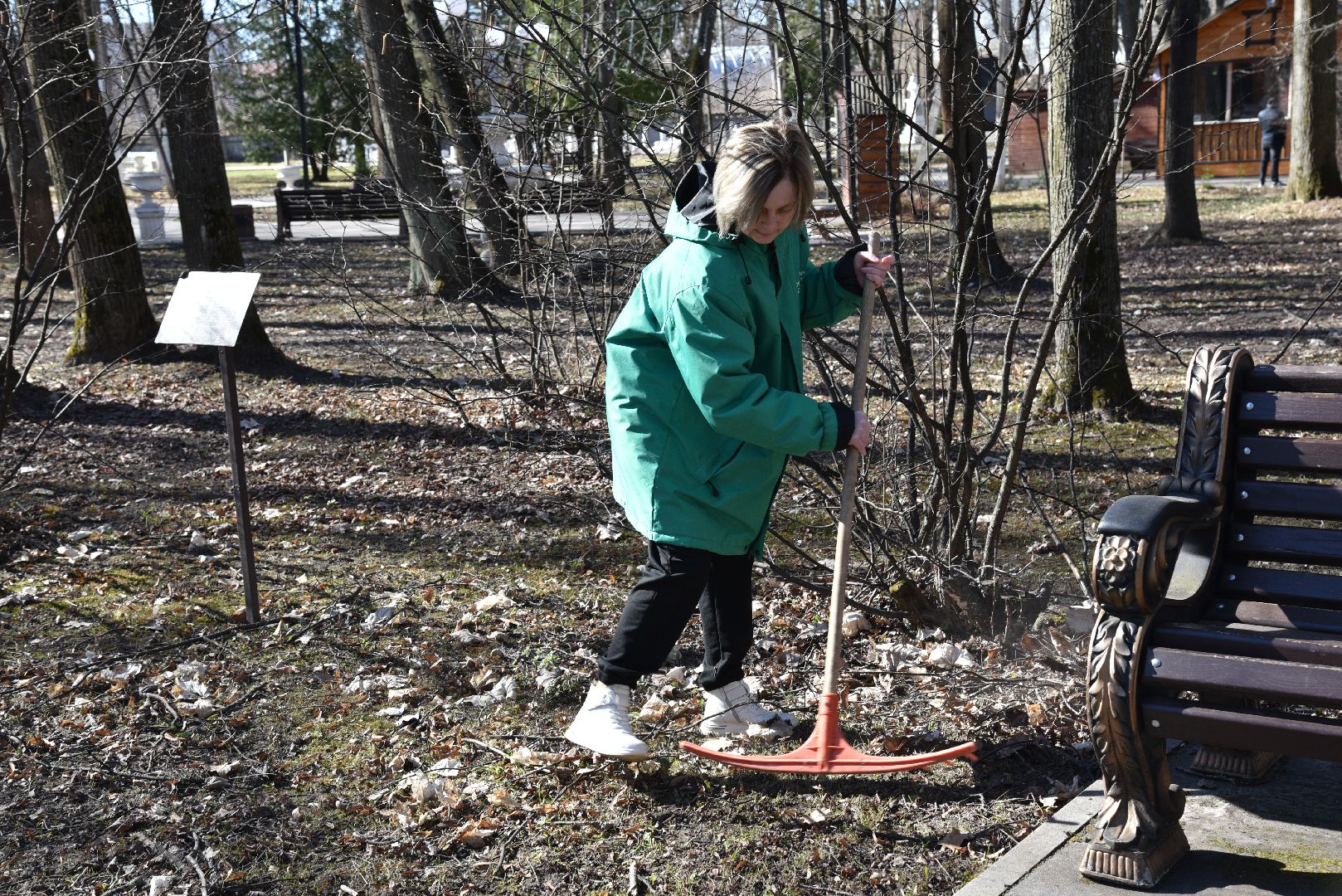 лотошино, лотошинский парк, парки подмосковья, субботник,