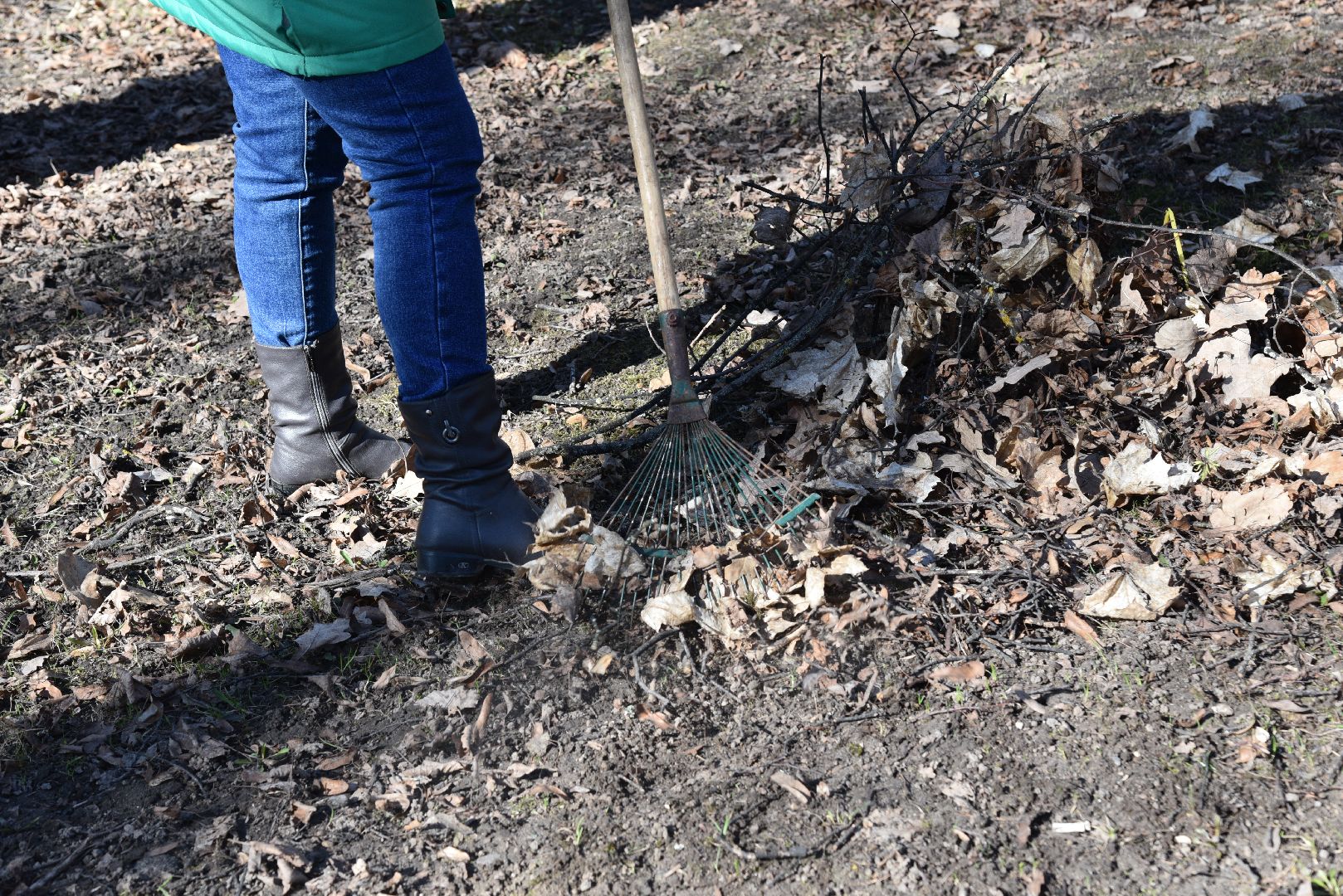 лотошино, лотошинский парк, парки подмосковья, субботник,