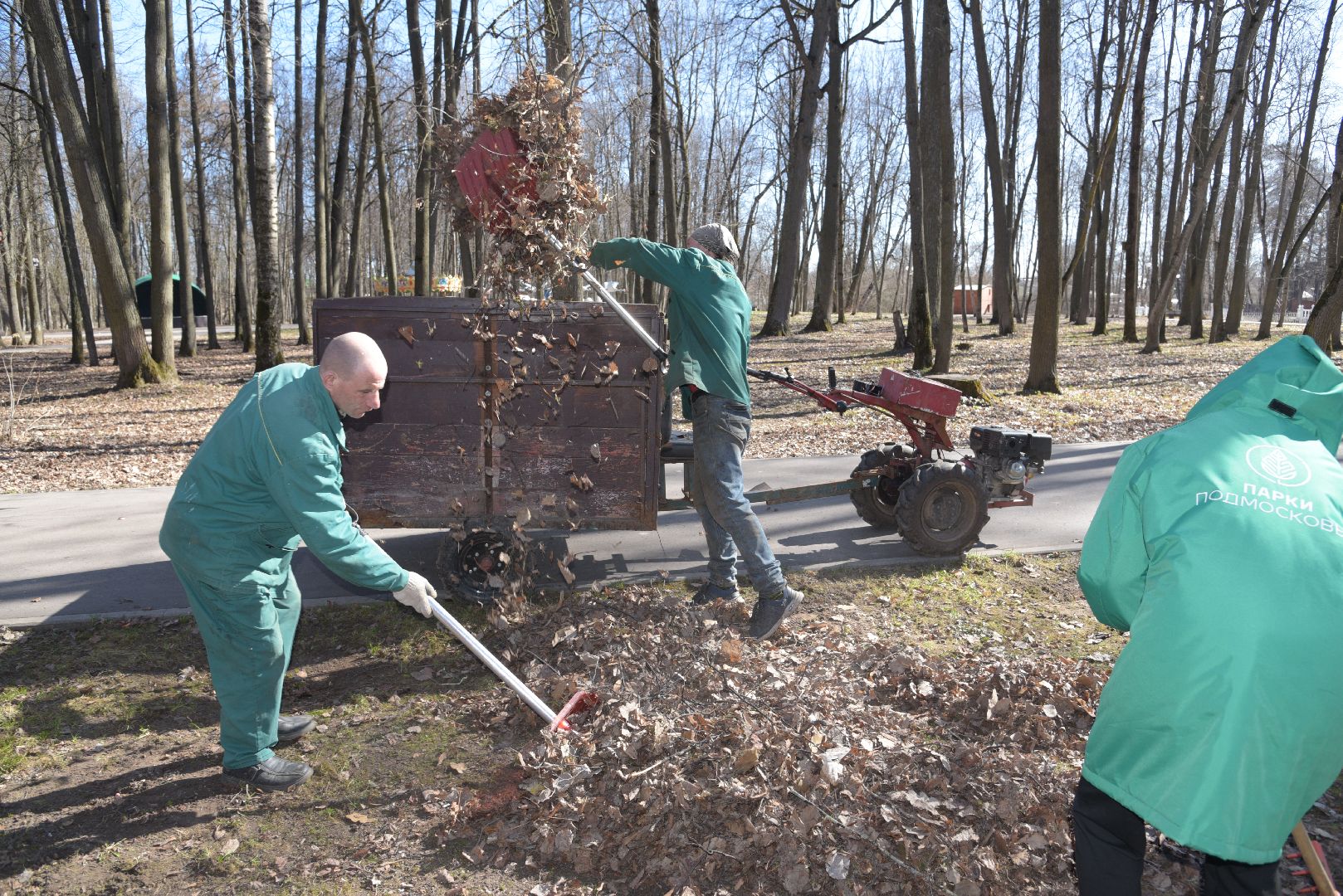 лотошино, лотошинский парк, парки подмосковья, субботник,