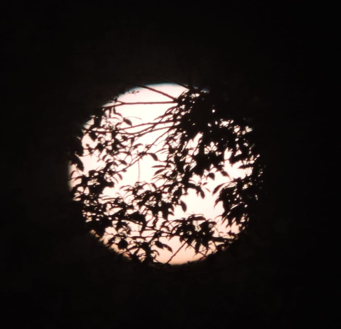 Лобня, астрономия, Солнце