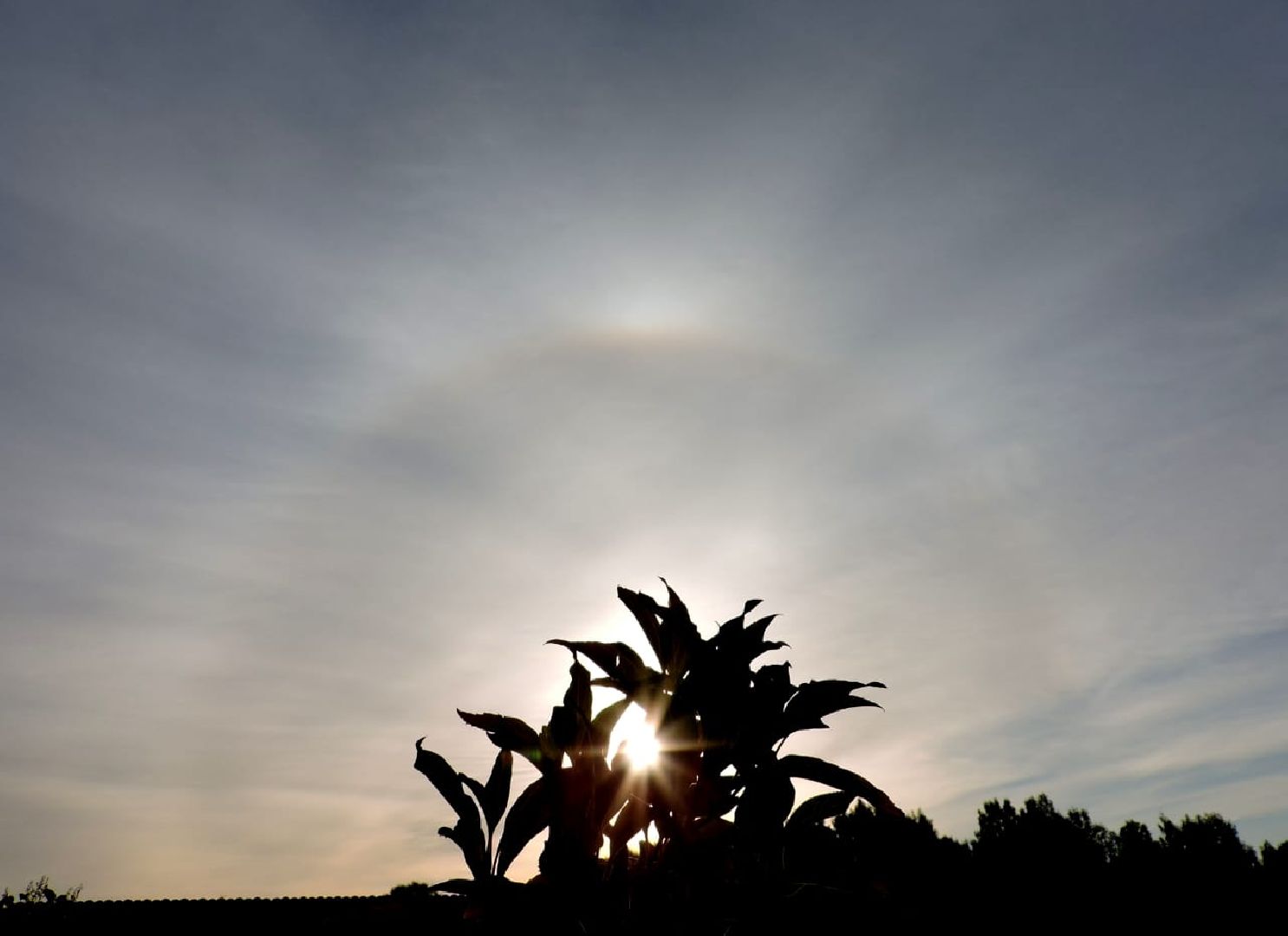 Лобня, астрономия, Солнце