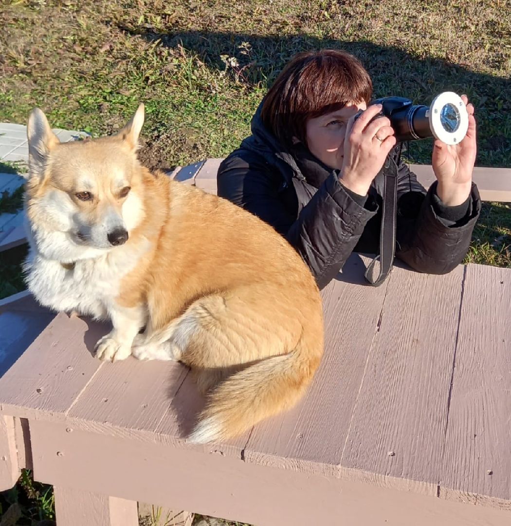 Лобня, астрономия, Солнце