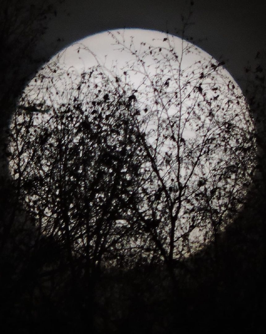 Лобня, астрономия, Солнце