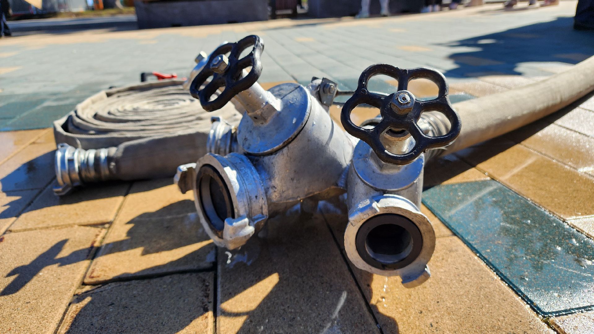 ступино, образование, спасатели,