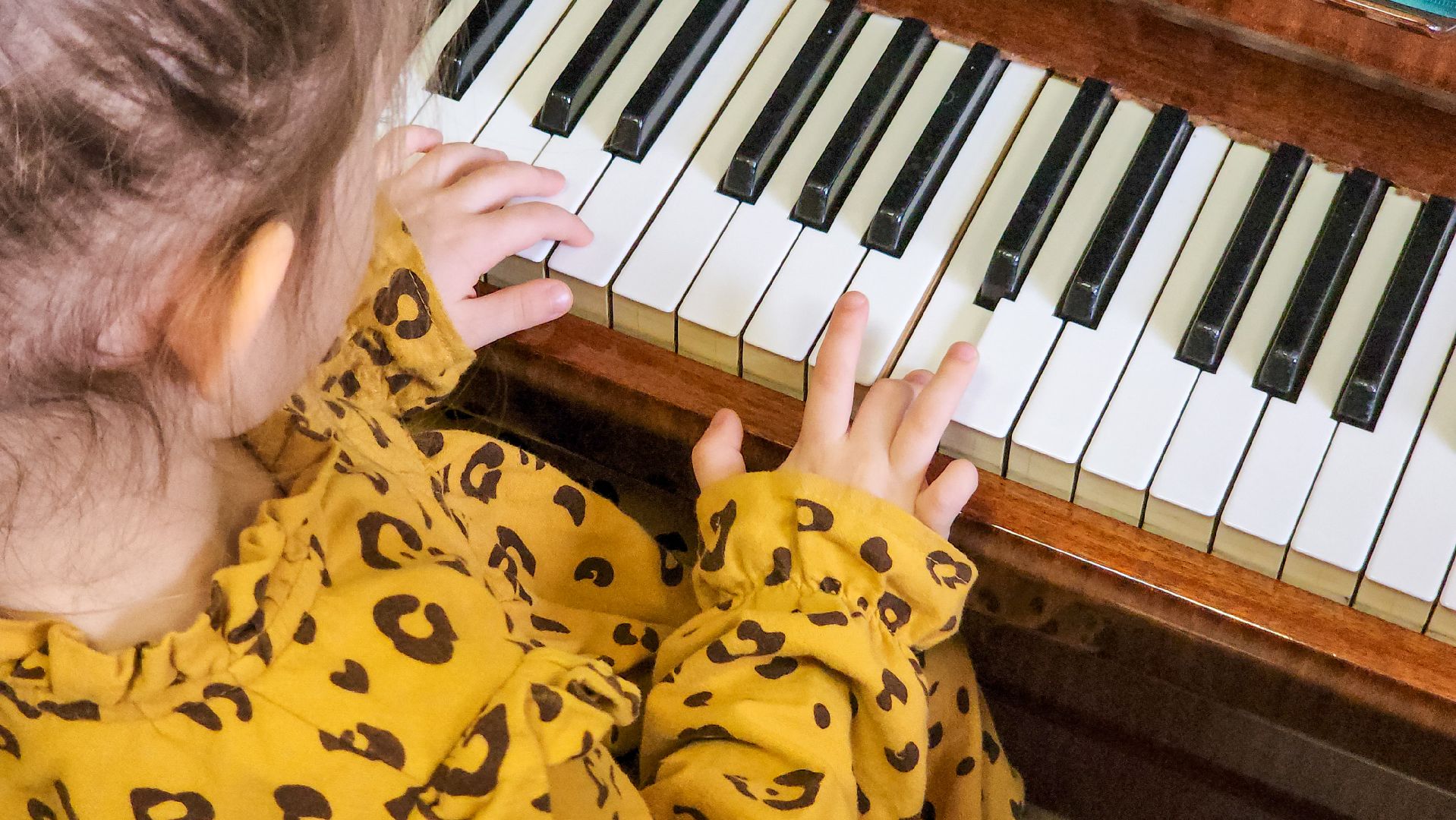 Подольск, кофейная кантата, подольская филармония, павел быков,