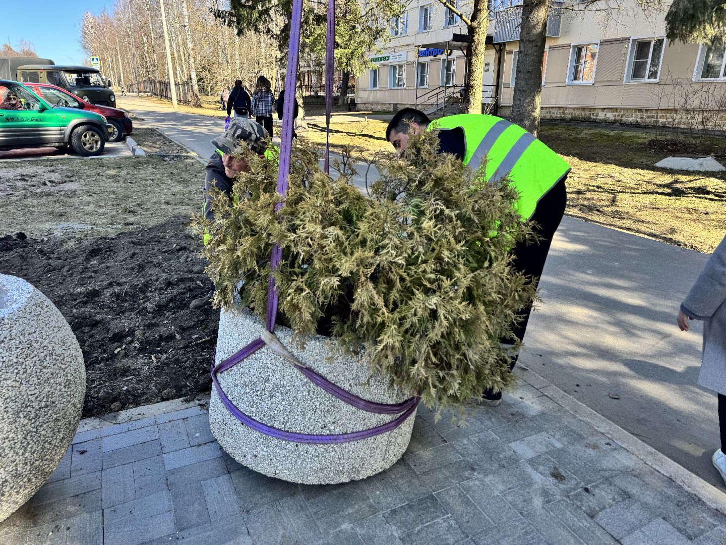 шаховская, вазоны, благоуйстройство,