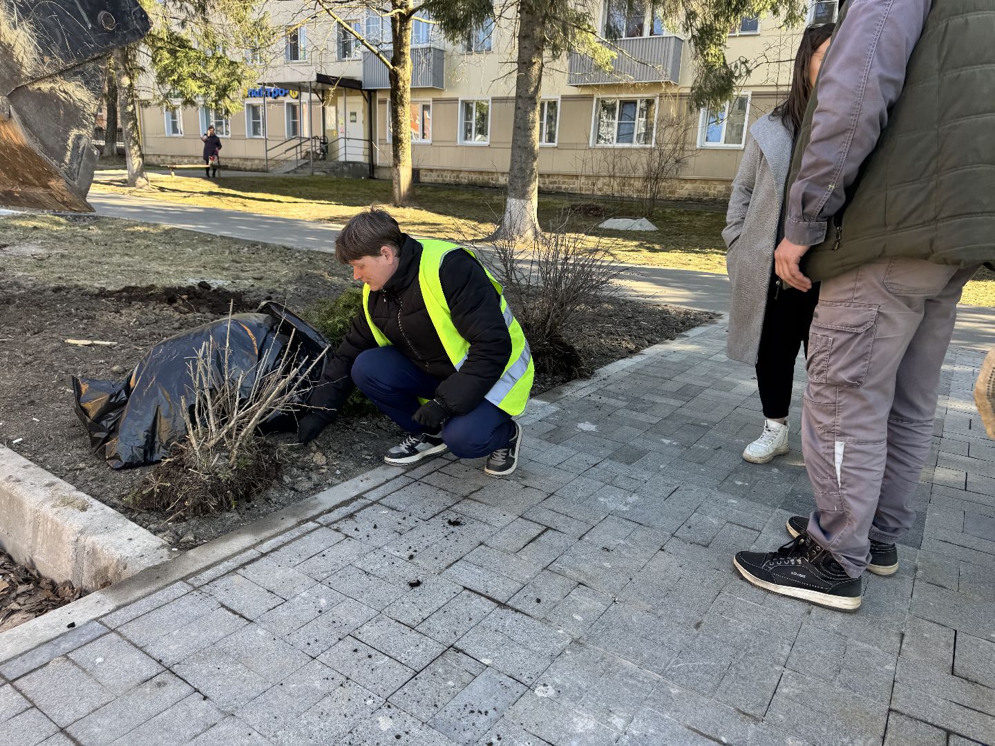 шаховская, вазоны, благоуйстройство,