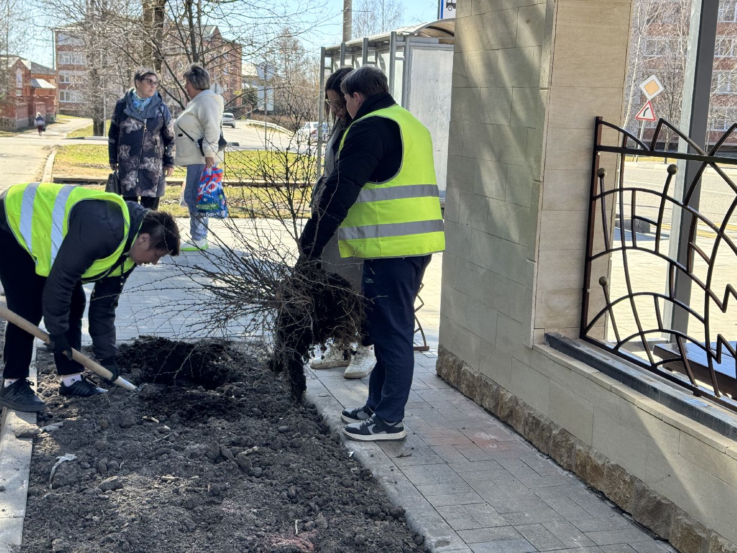 шаховская, вазоны, благоуйстройство,