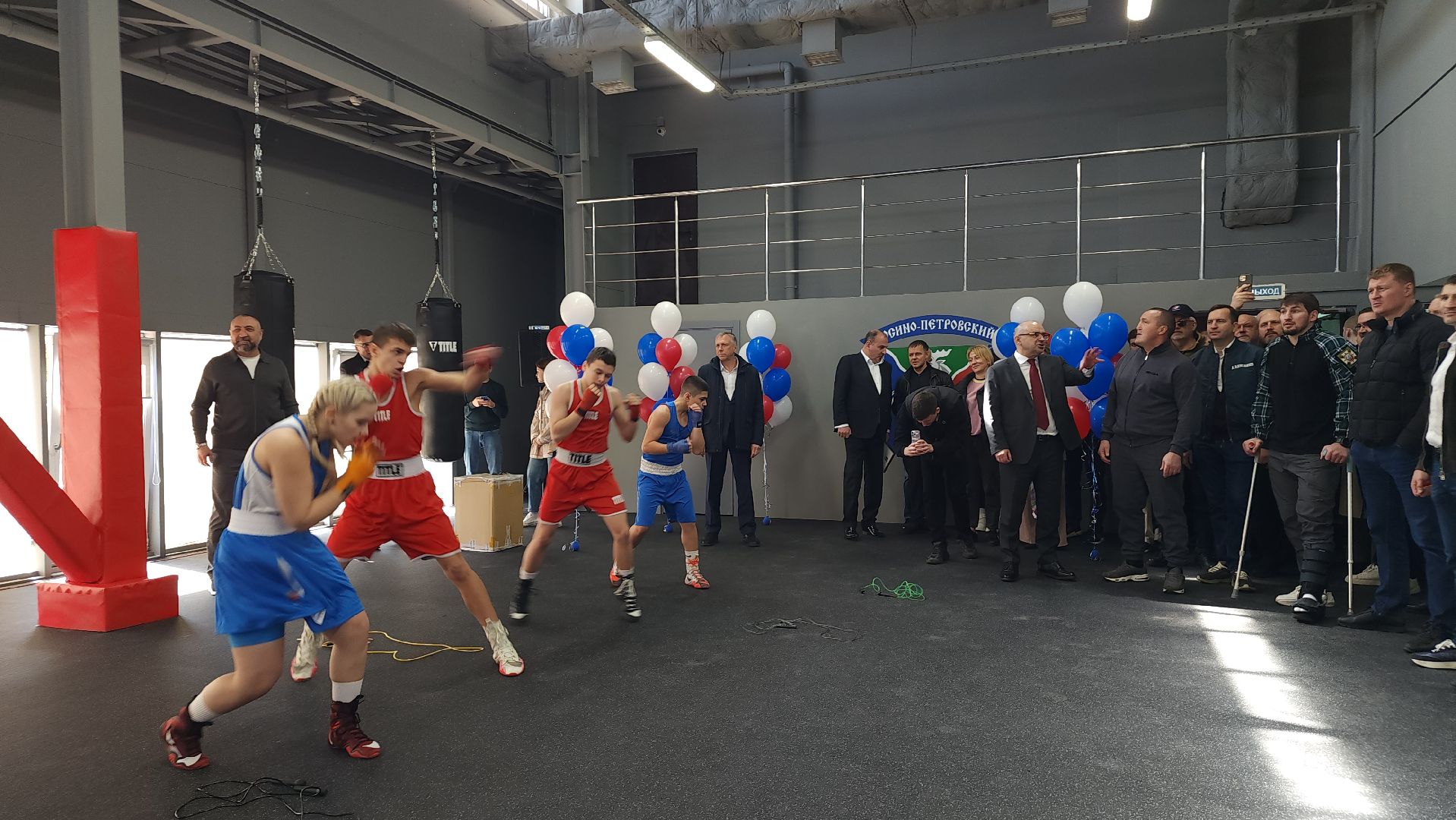 спорт, бокс, Лосино-петровский,