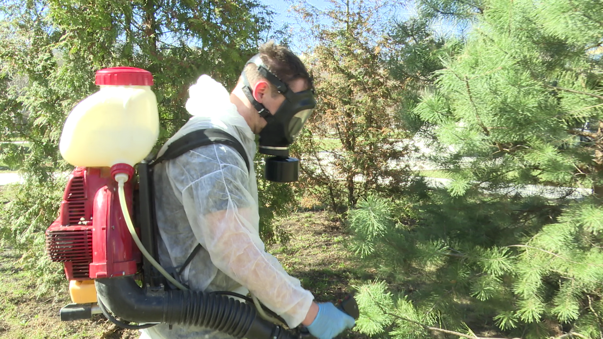 реутов, экология, клещи, обработка, иксодовые клещи,