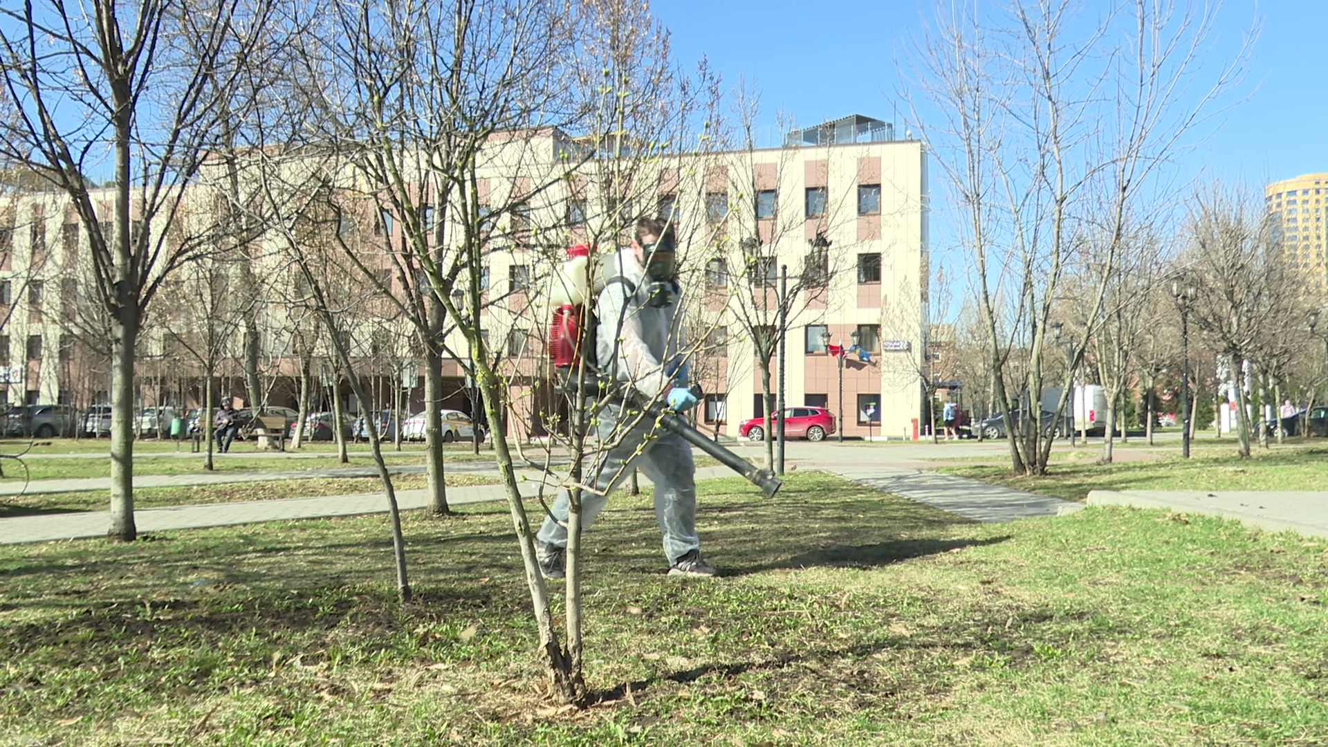 реутов, экология, клещи, обработка, иксодовые клещи,