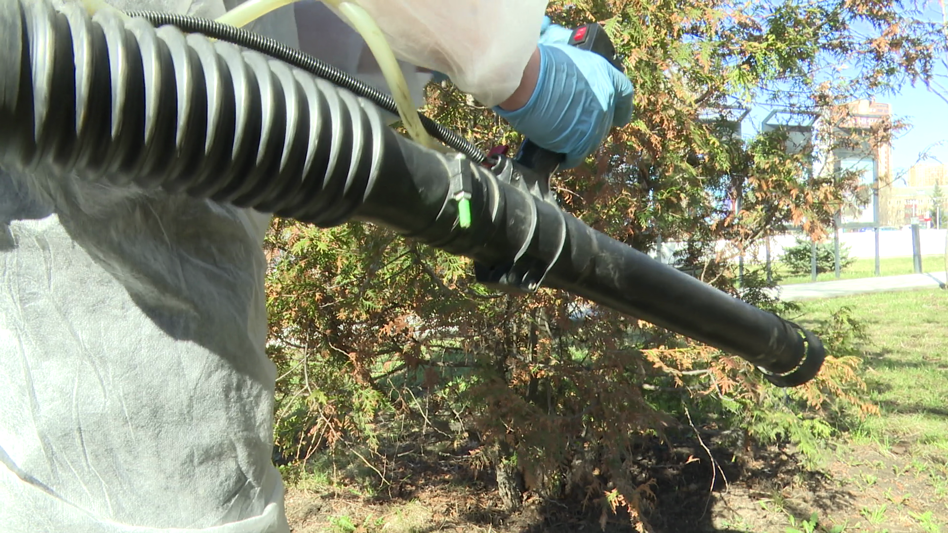 реутов, экология, клещи, обработка, иксодовые клещи,