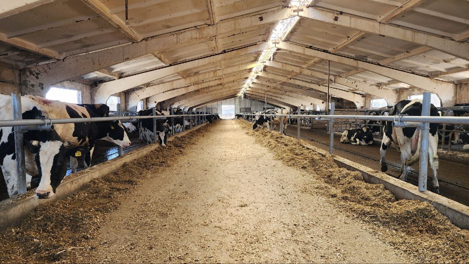 Луховицы, сельское хозяйство,