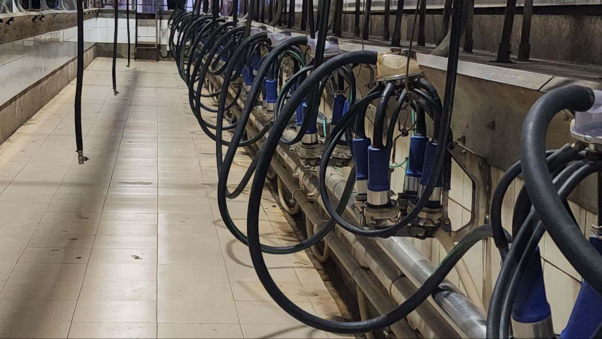 Луховицы, сельское хозяйство,