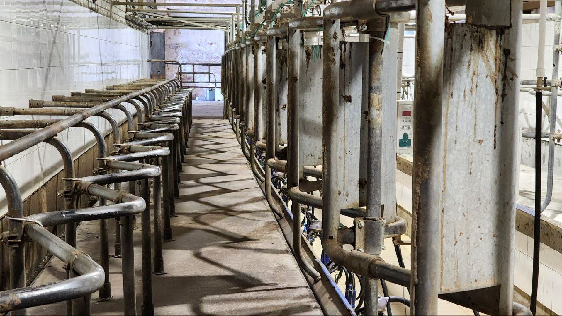 Луховицы, сельское хозяйство,