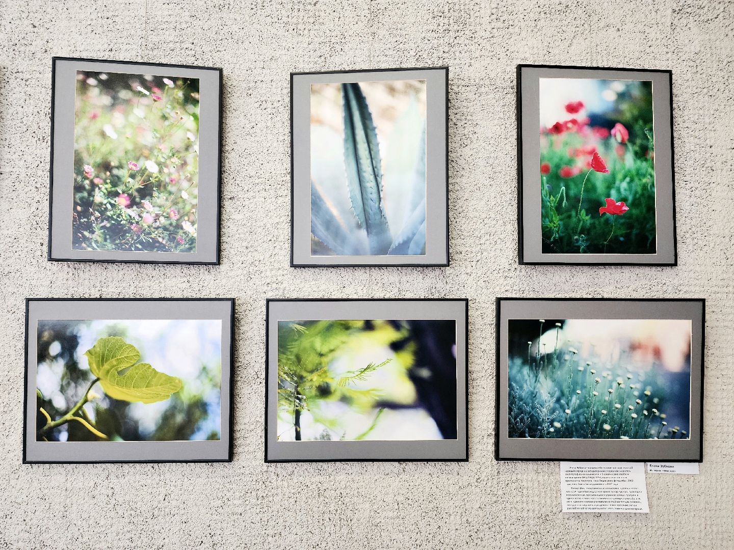 пущино, серпухов, культура, фотографы,