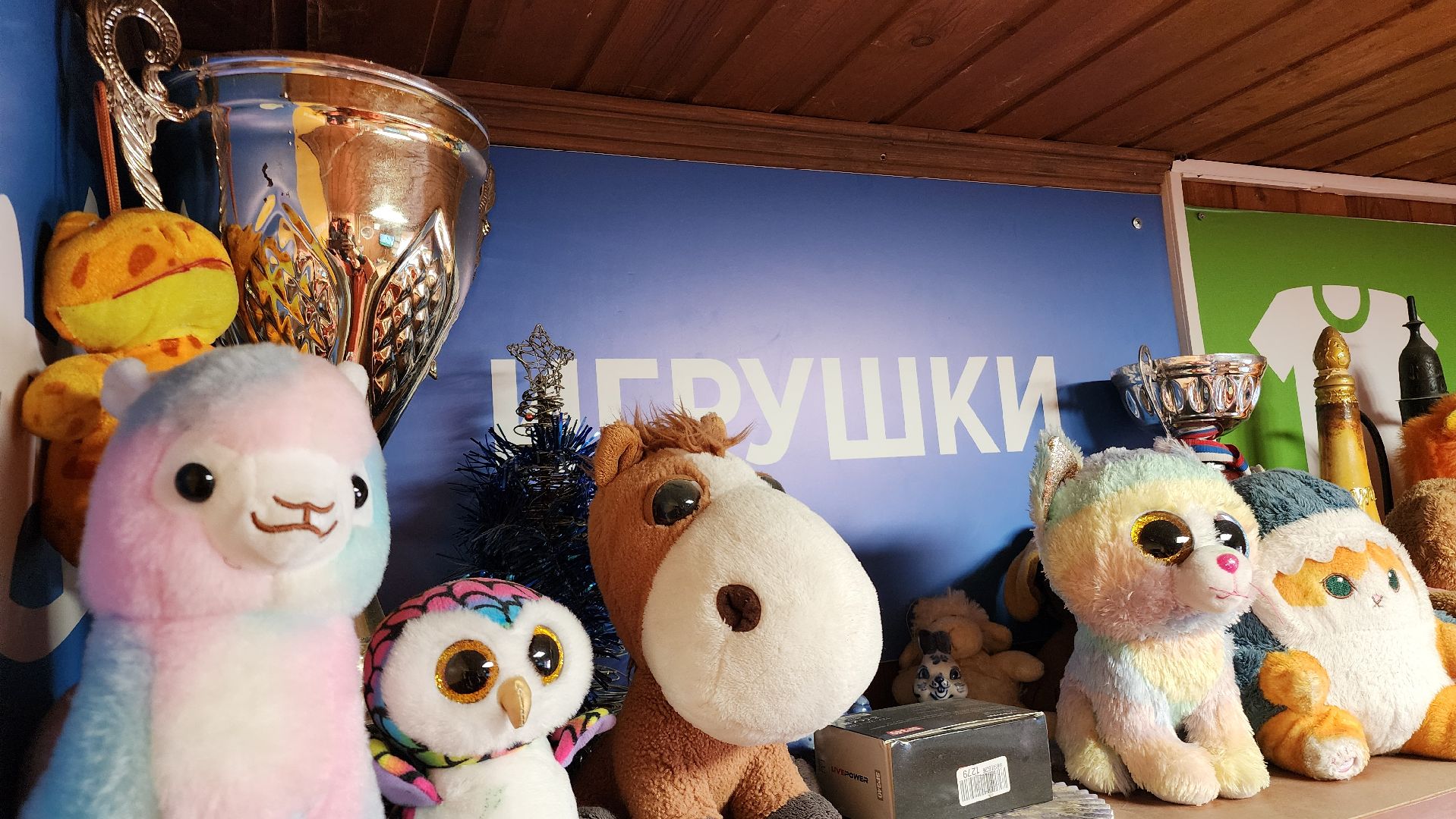 мегабак, экология, акция, домодедово, шины, колеса, подмосковье,