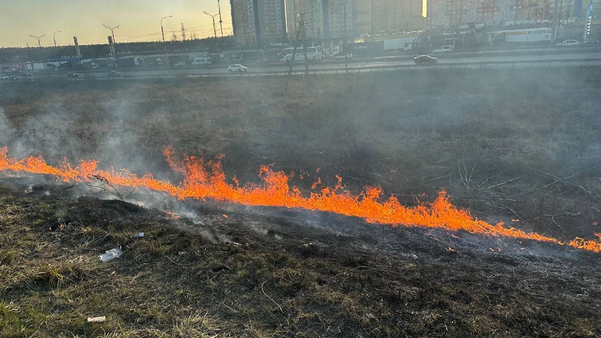 домодедово, пожар, тушение, горение травы,