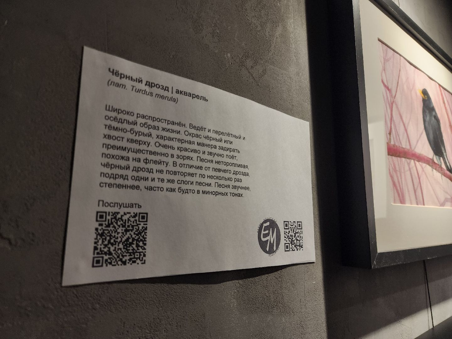 Черноголовка, Культура, Выставка картин,