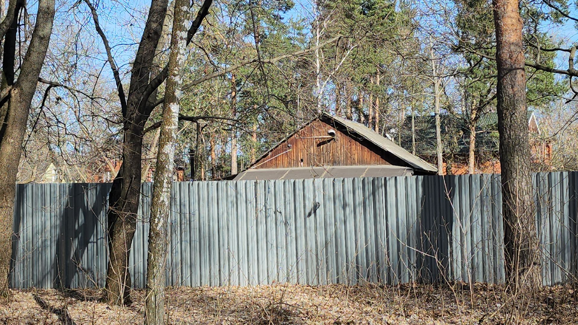 люберцы, благоустройство, летний парк в малаховке,