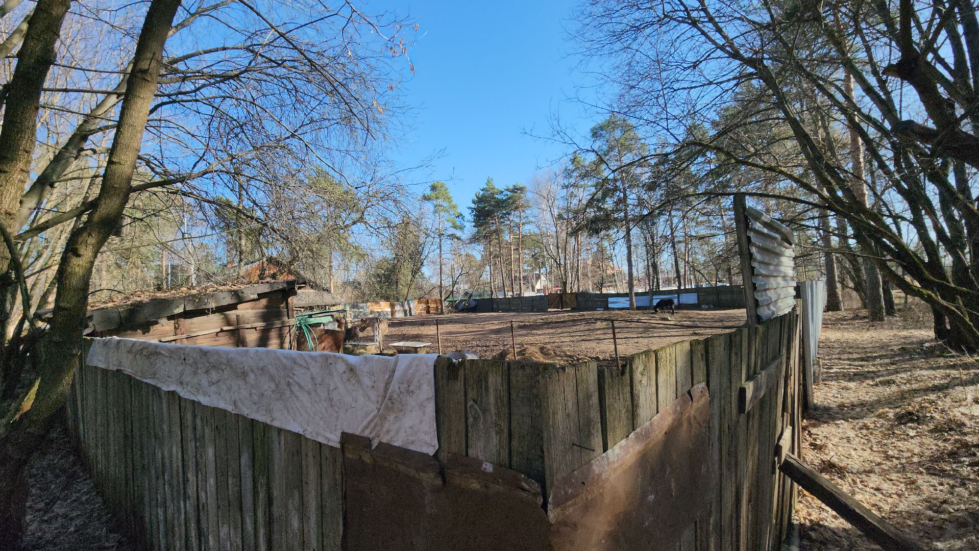 люберцы, благоустройство, летний парк в малаховке,