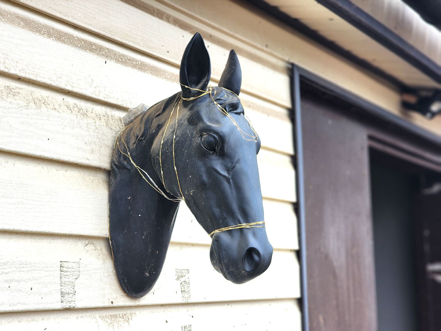 дубна, верховая езда, лошади, конный клуб, конно-спортивный клуб,