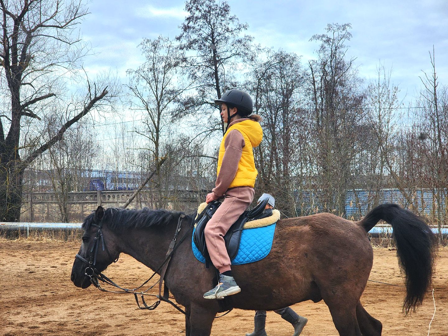 дубна, верховая езда, лошади, конный клуб, конно-спортивный клуб,