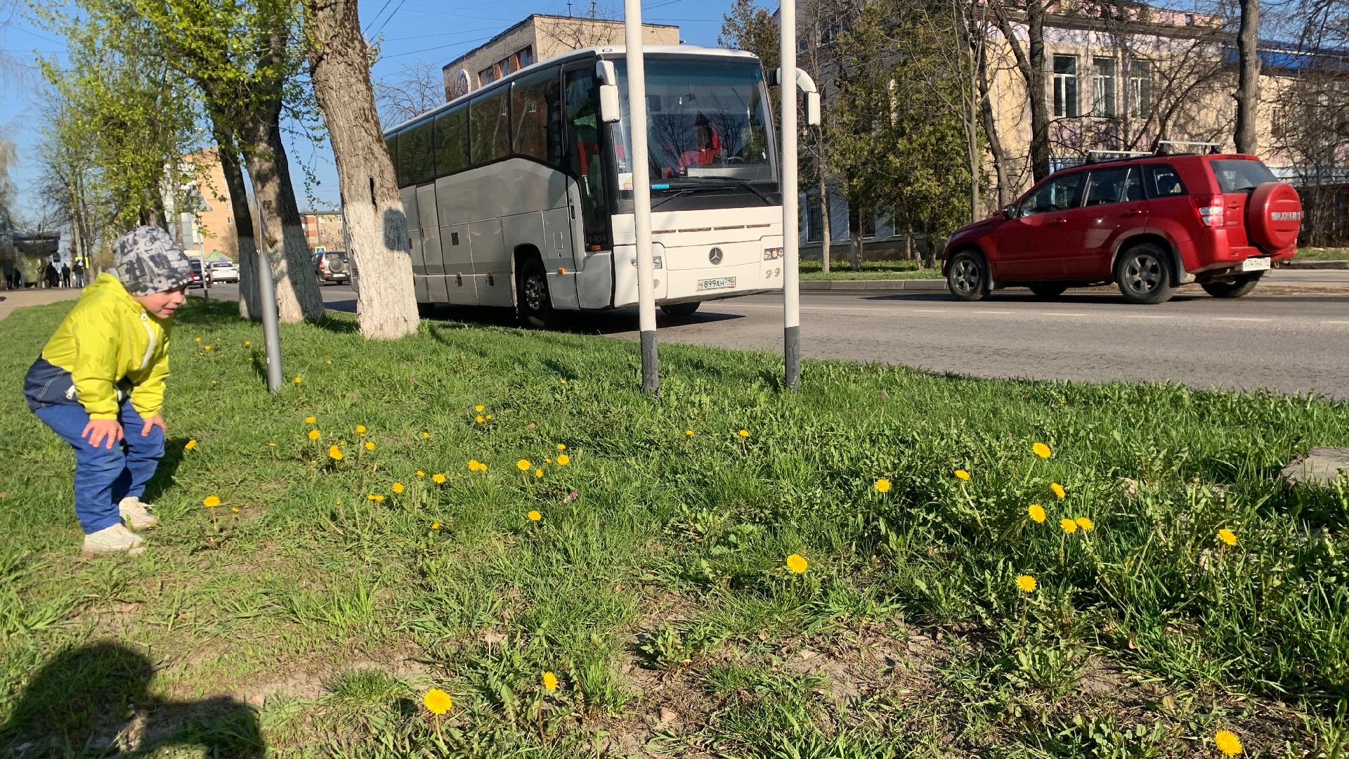 Ступино, аллергия, здоровье, поллиноз