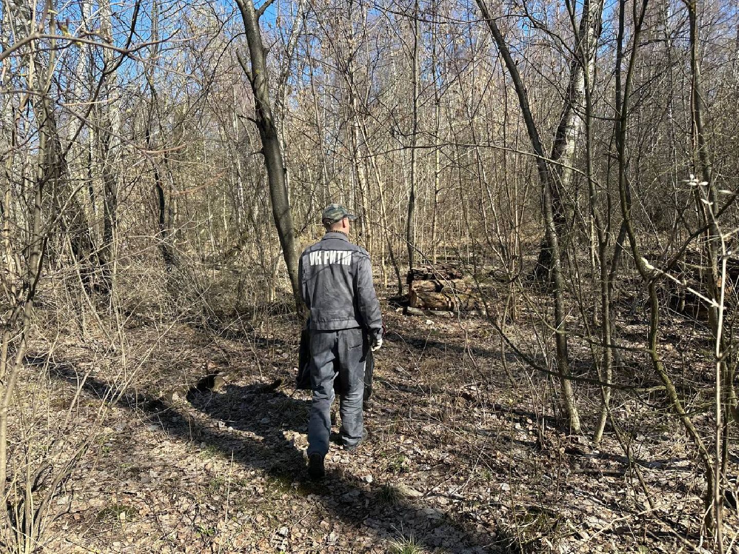 уборка леса, домодедово,