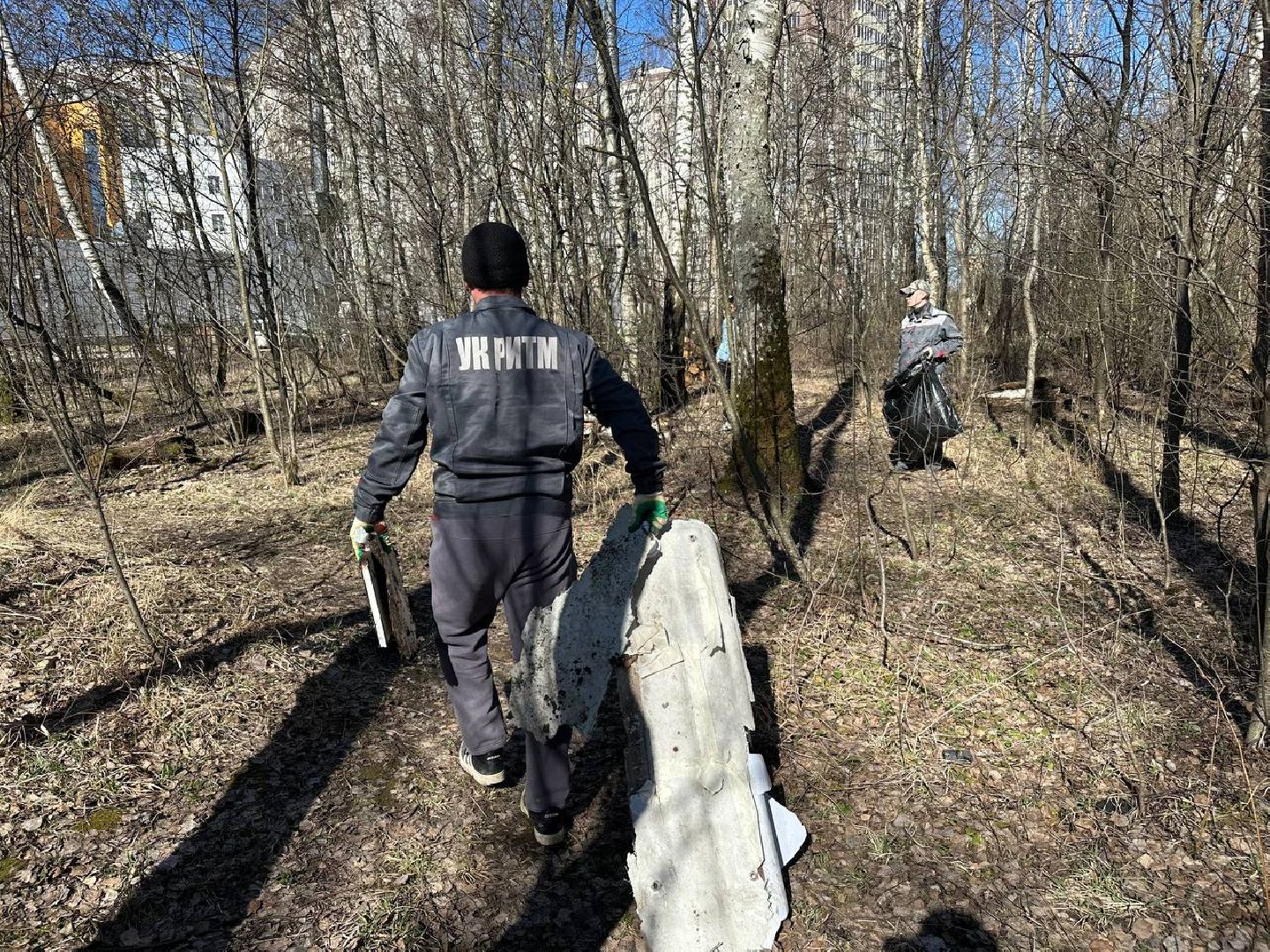 уборка леса, домодедово,