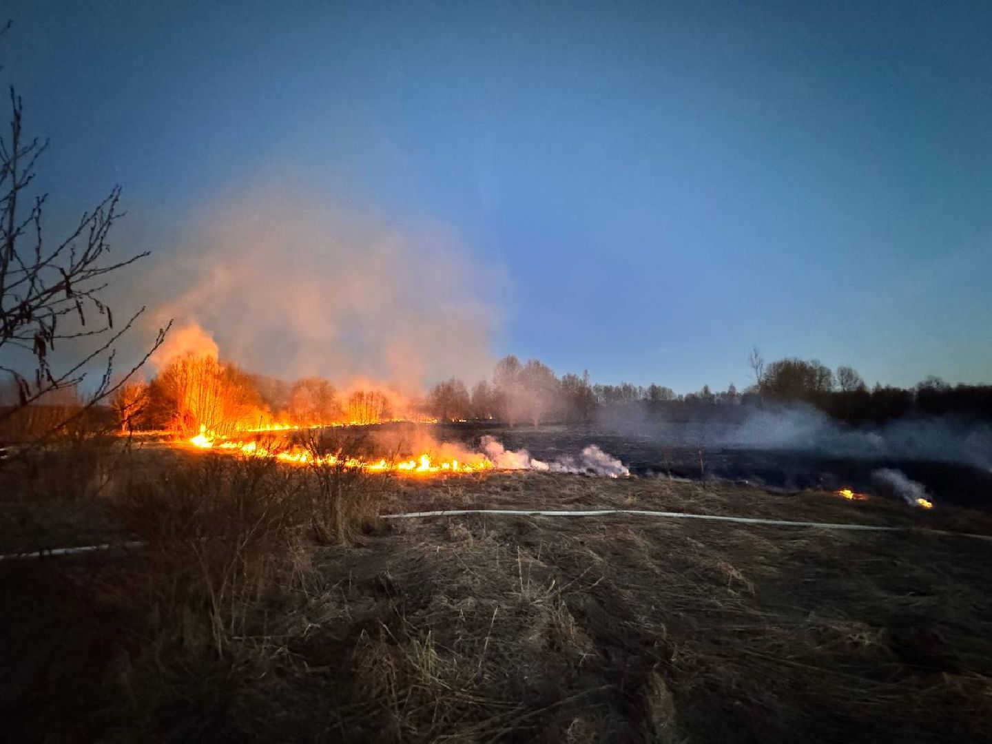 шаховская, особый режим, мчс, пал травы,