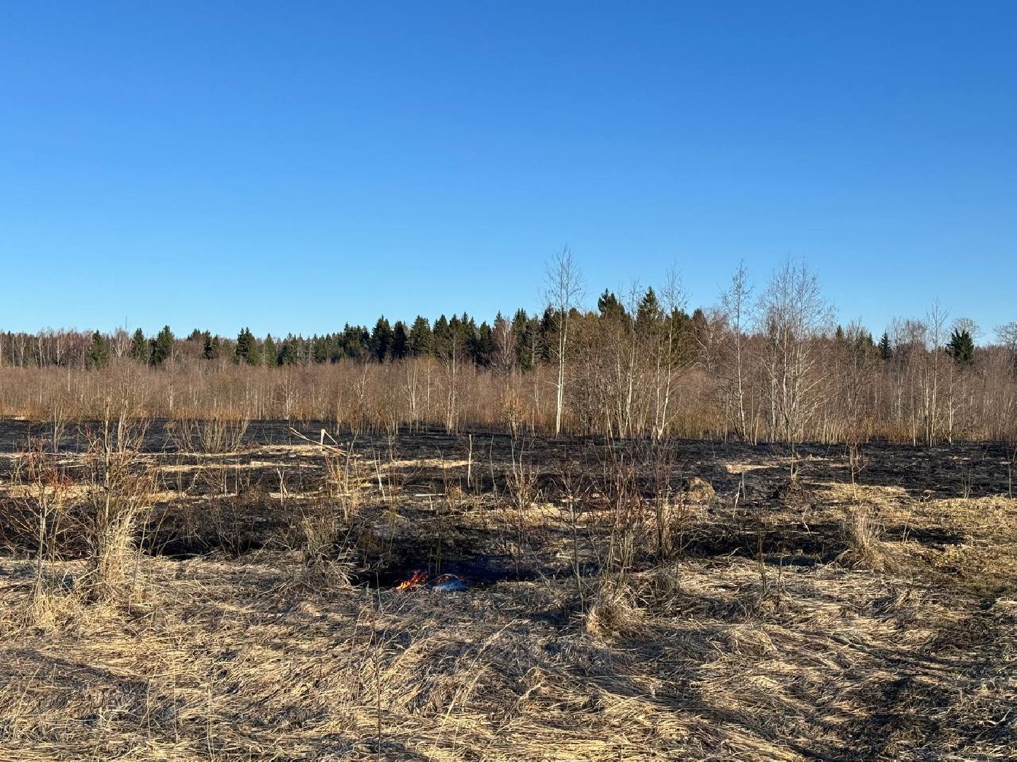 шаховская, особый режим, мчс, пал травы,