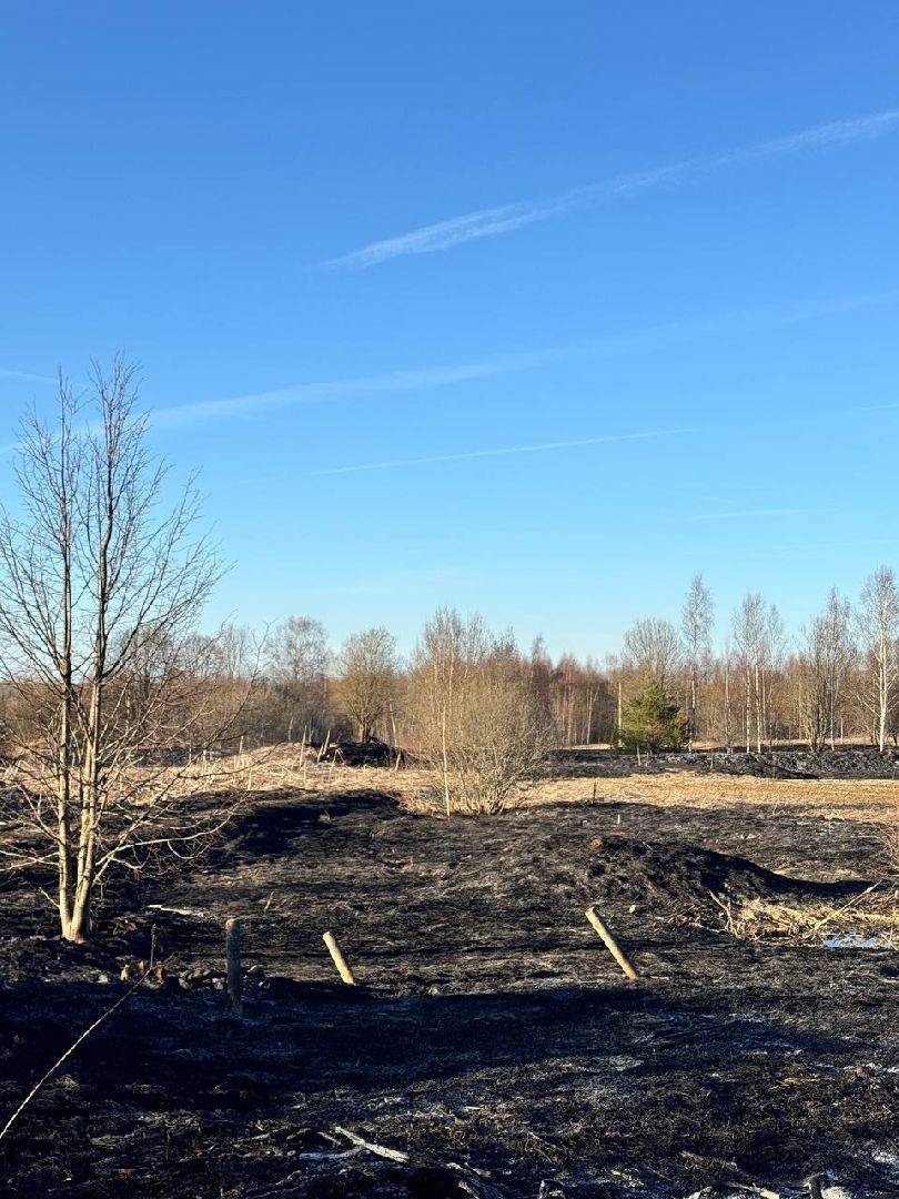 шаховская, особый режим, мчс, пал травы,