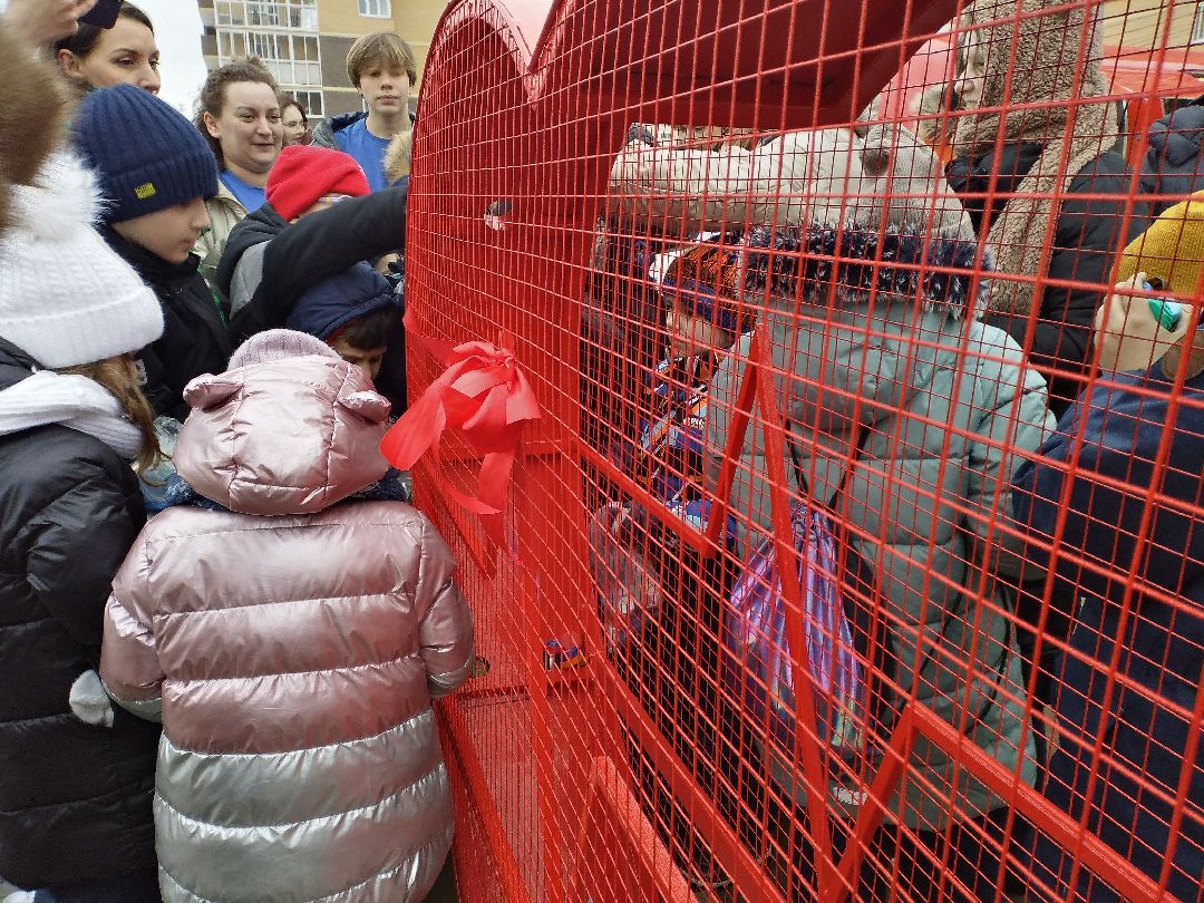 Лосино-Петровск, общество