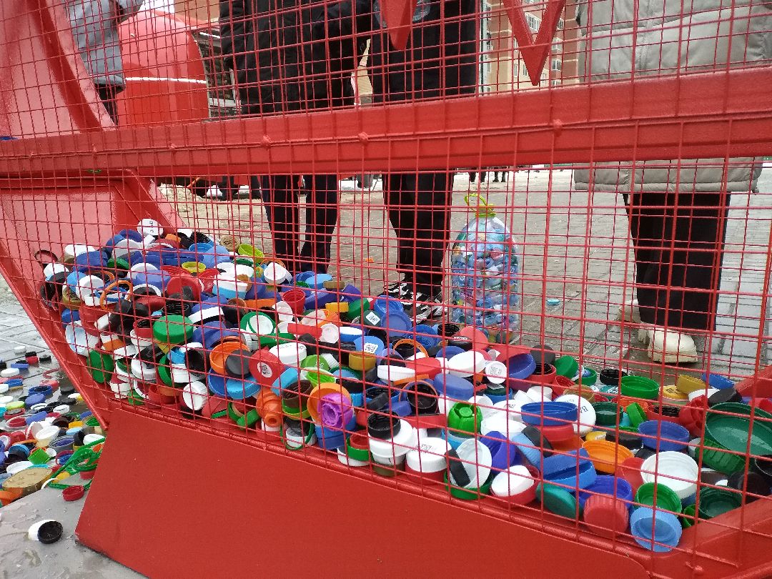 Лосино-Петровск, общество