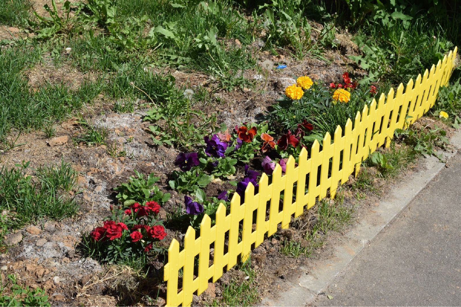 Домодедово, клумба, благоустройство, цветы, конкурс