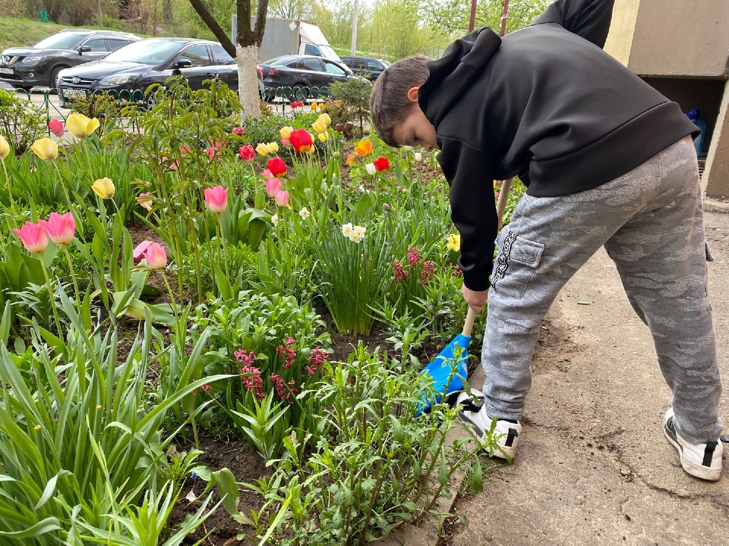 Домодедово, клумба, благоустройство, цветы, конкурс