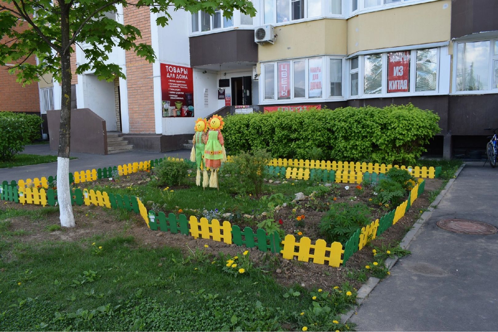 Домодедово, клумба, благоустройство, цветы, конкурс