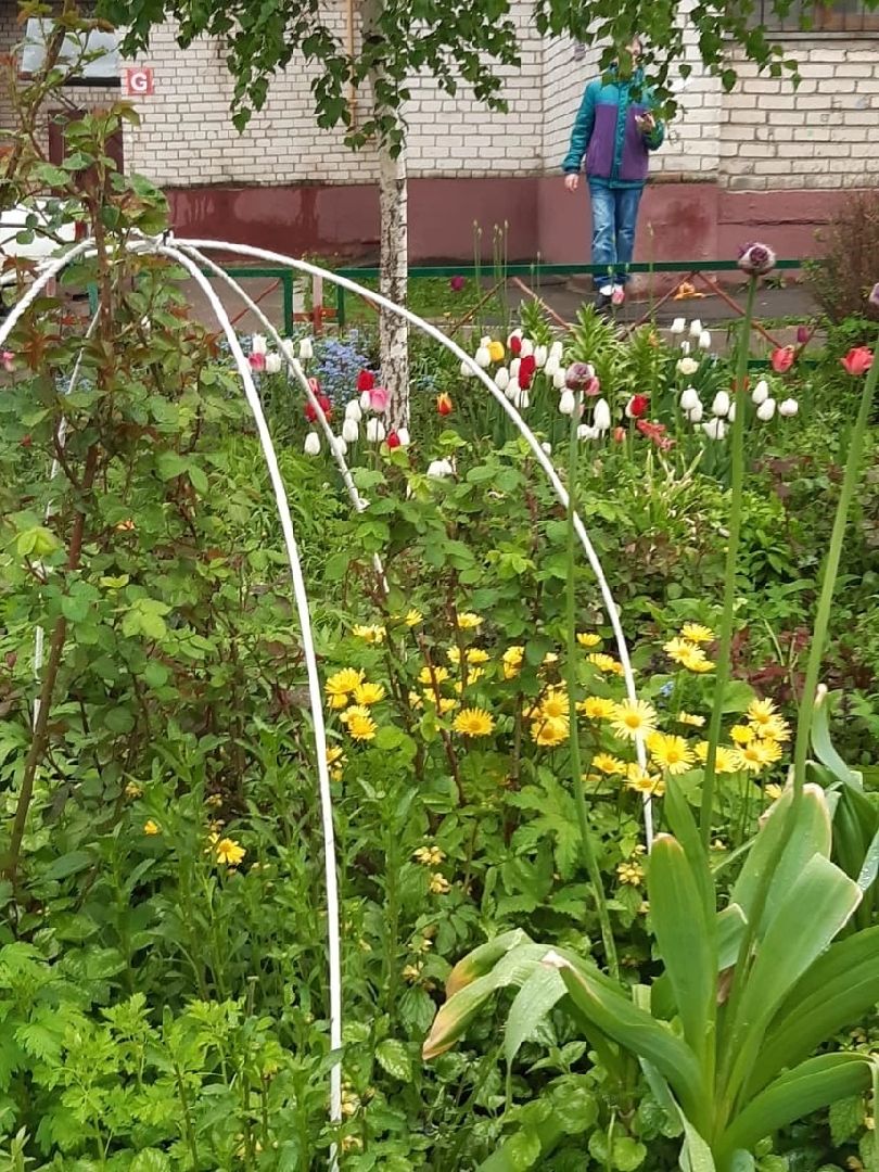 Домодедово, клумба, благоустройство, цветы, конкурс