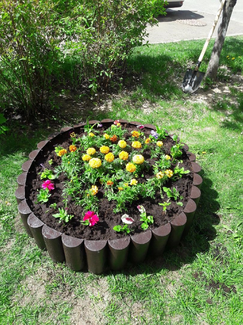 Домодедово, клумба, благоустройство, цветы, конкурс