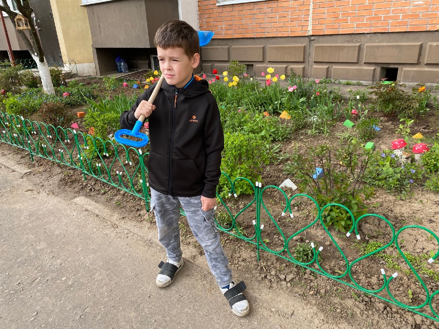 Домодедово, клумба, благоустройство, цветы, конкурс