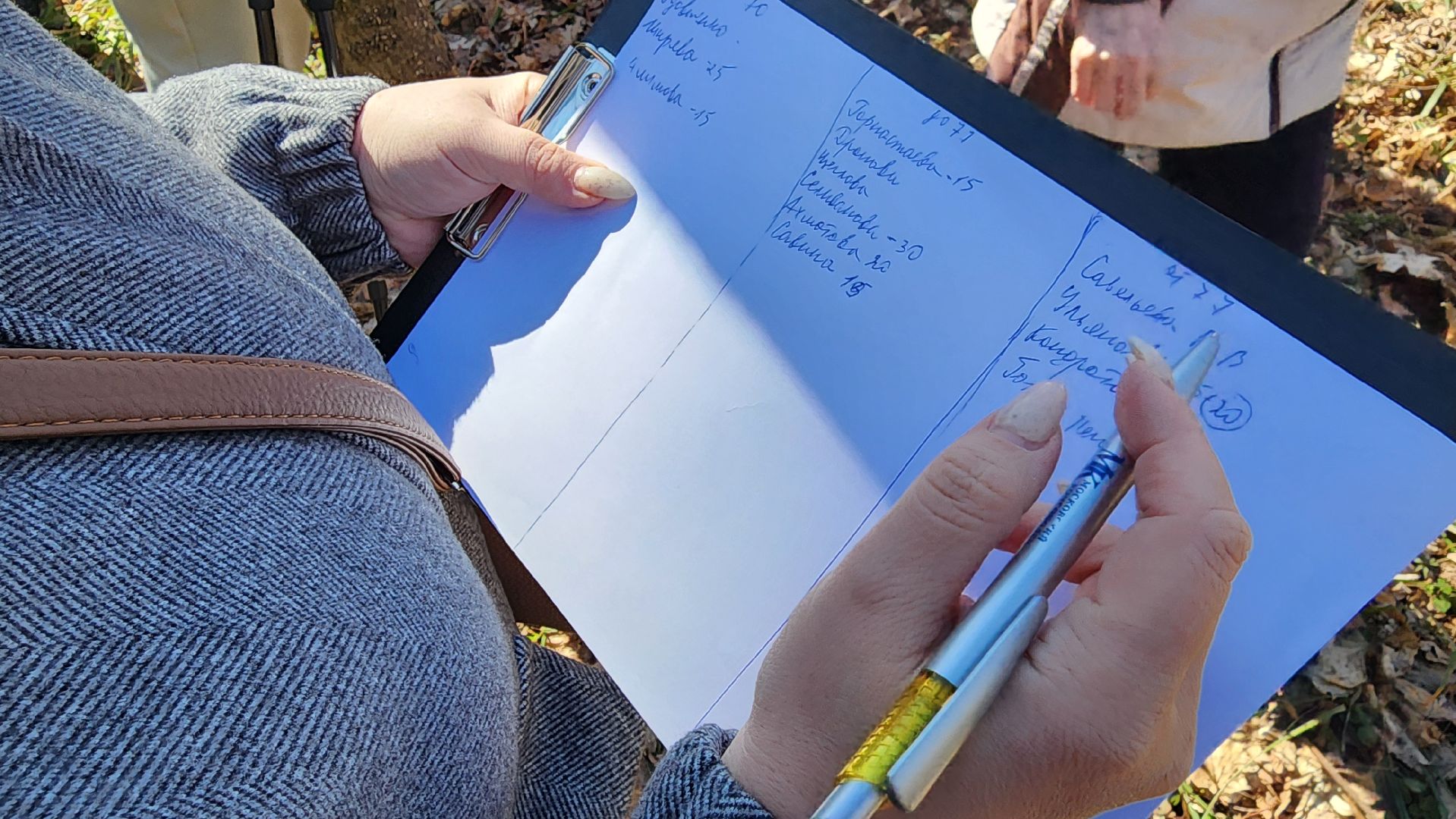 кашира, спорт, парк, зож, день здоровья, дартс, турнир, активное долголетие,