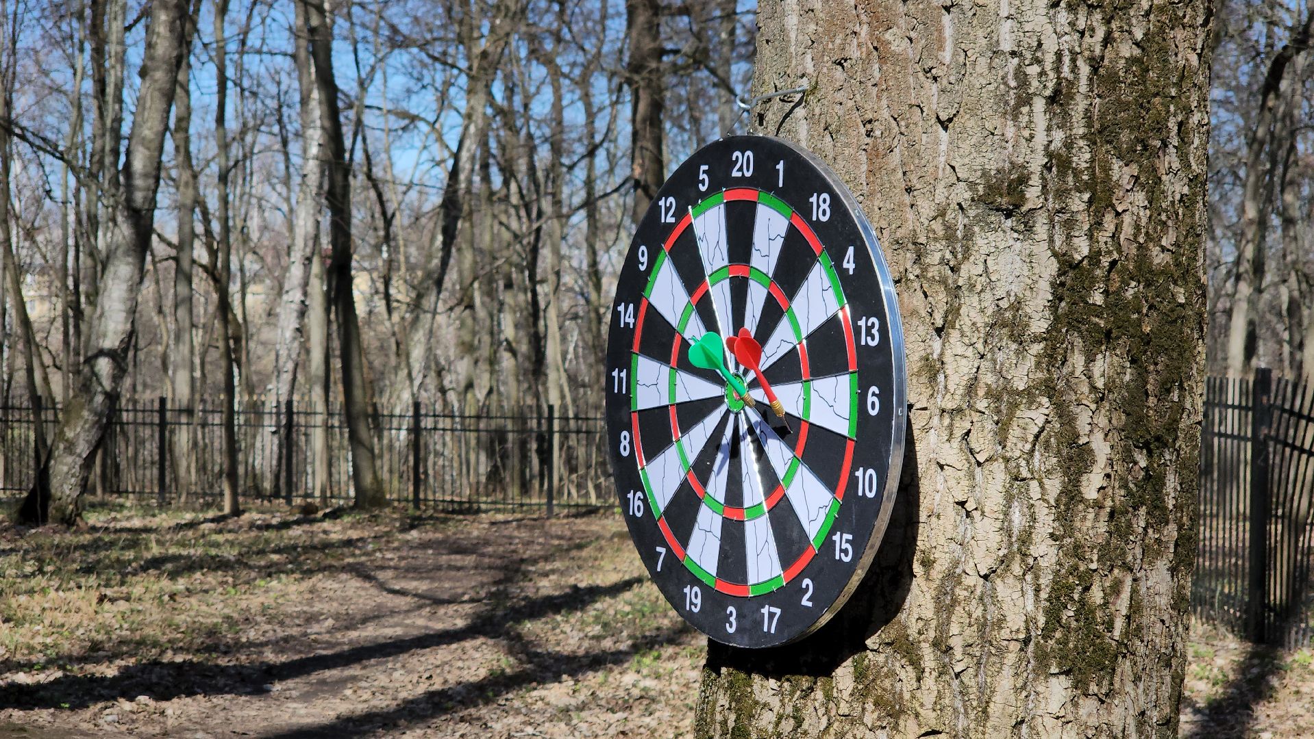 кашира, спорт, парк, зож, день здоровья, дартс, турнир, активное долголетие,