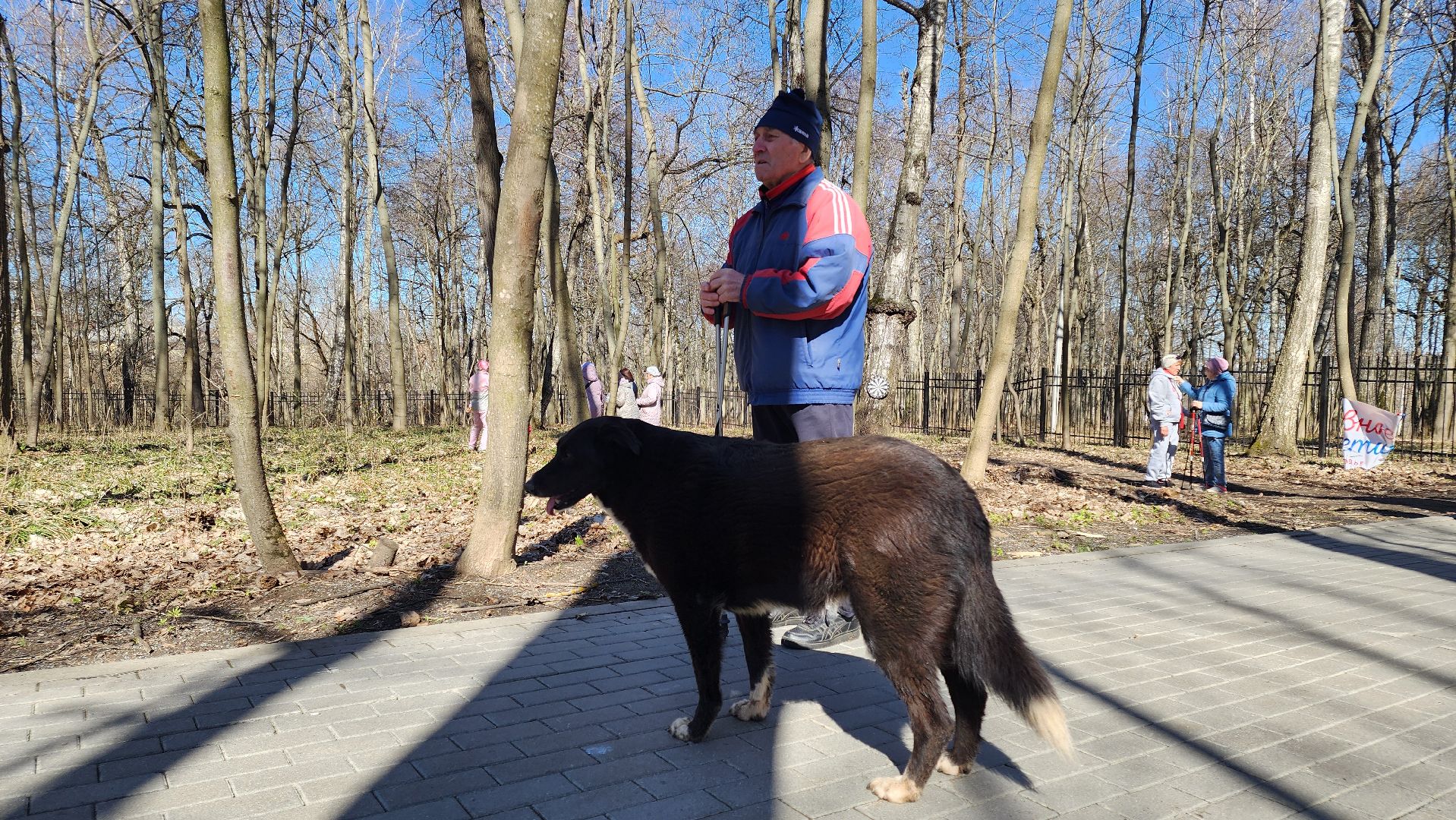 кашира, спорт, парк, зож, день здоровья, дартс, турнир, активное долголетие,