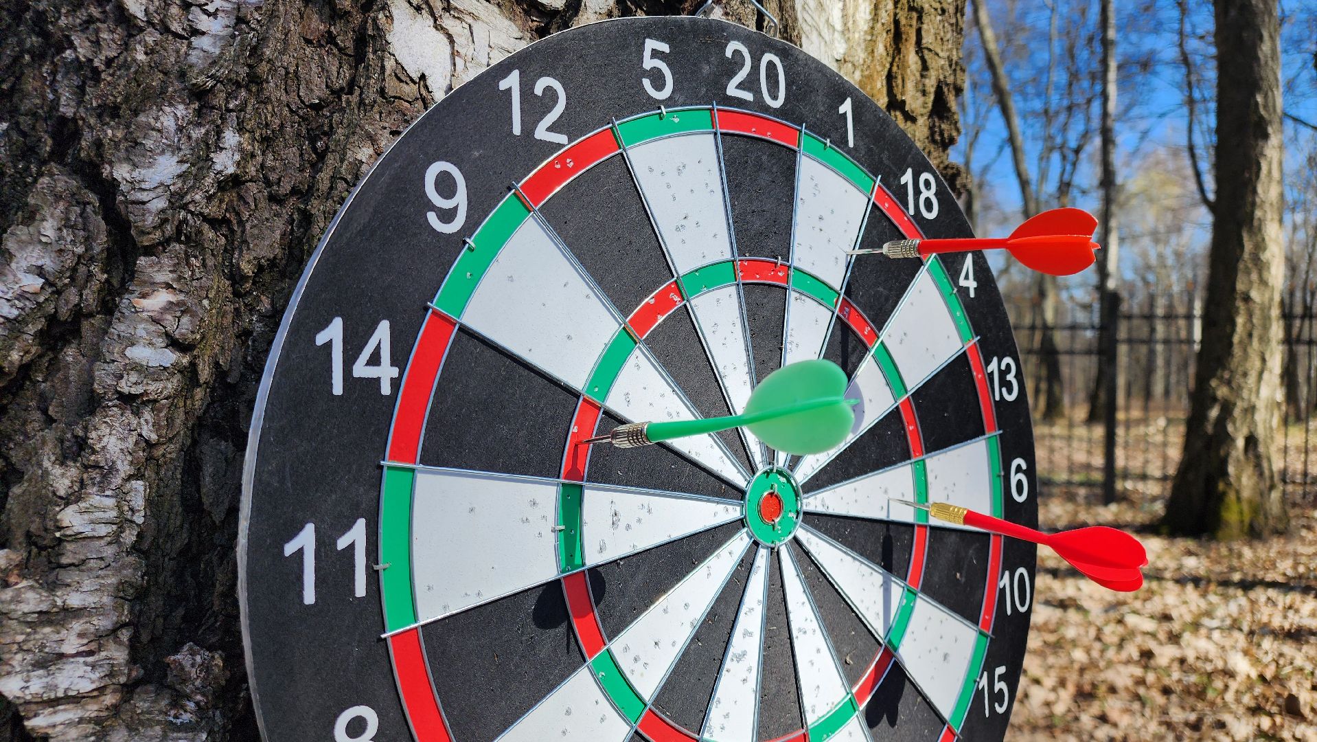 кашира, спорт, парк, зож, день здоровья, дартс, турнир, активное долголетие,